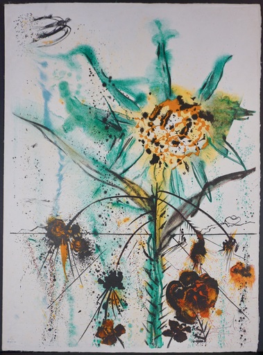萨尔瓦多·达利 - 版画 - Sun Goddess Flower