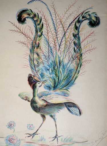 Angeles BENIMELLI - Drawing-Watercolor - Académico: "Pavo Real"