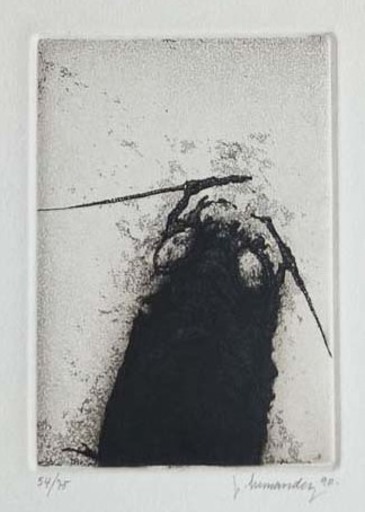 José HERNÁNDEZ - Print-Multiple - Insecto I