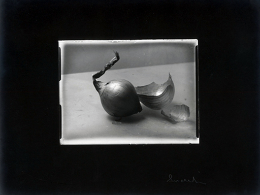 Josef SUDEK - Fotografie - Onion