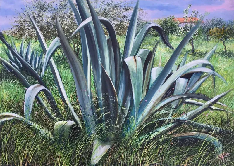 Agave A Sibari By Franco Azzinari Buy Art Online Artprice