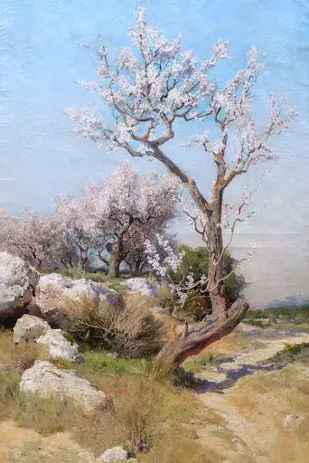 Théophile DECANIS - 绘画 - Amandiers en fleurs, Provence