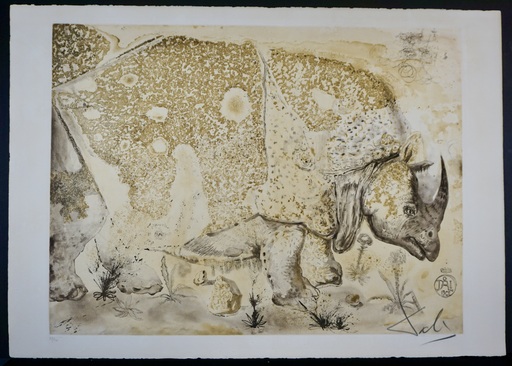 萨尔瓦多·达利 - 版画 - Rhinoceros