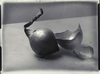 Josef SUDEK - Fotografia - Onion