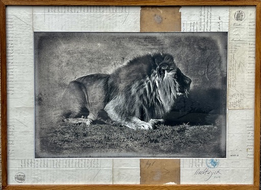 Jan VAN NAELTWIJCK - Disegno Acquarello - Composition au lion 