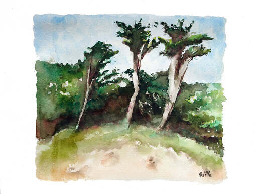 Gaelle BEYAERT - Drawing-Watercolor - Les pins de Vendée