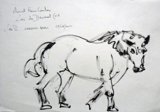 Jean-Pierre CHEVASSUS-AGNES - Dessin-Aquarelle - cheval de trait Franc-Comtois à DEVESSET (07 )